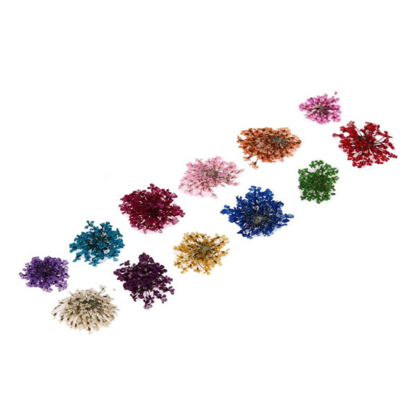 KIT FLOR DESIDRATADA D&Z - 12 UN.